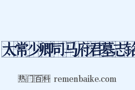 太常少卿司马府君墓志铭是什么意思的图片